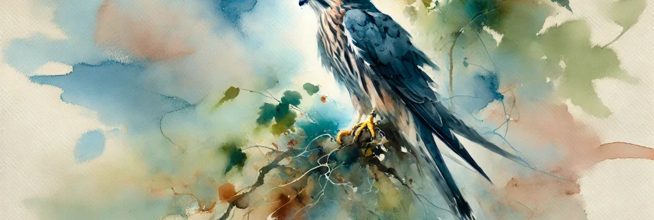 A watercolour image of a merlin, one of the falcons in Galicia